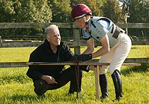 wooden-horse1.jpg