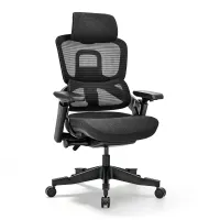Hinomi H2 Classic With Headrest Hinomi H2 Classic With Headrest