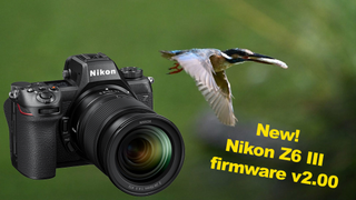 Composite image of bird taken, Nikon Z6 III, and firmware v2.00 text