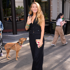Blake Lively wearing a denim top with her hair down, waving to the camera.