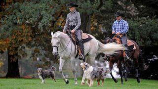 Two people on horses and two australian shepherd dogs