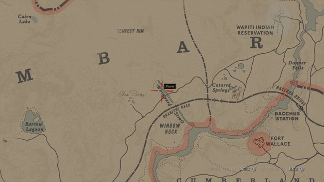 red dead redemption 2 rock carvings and dinosaur bones