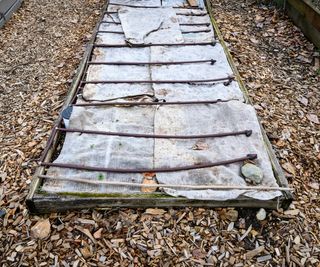 raised bed with covering in the fall