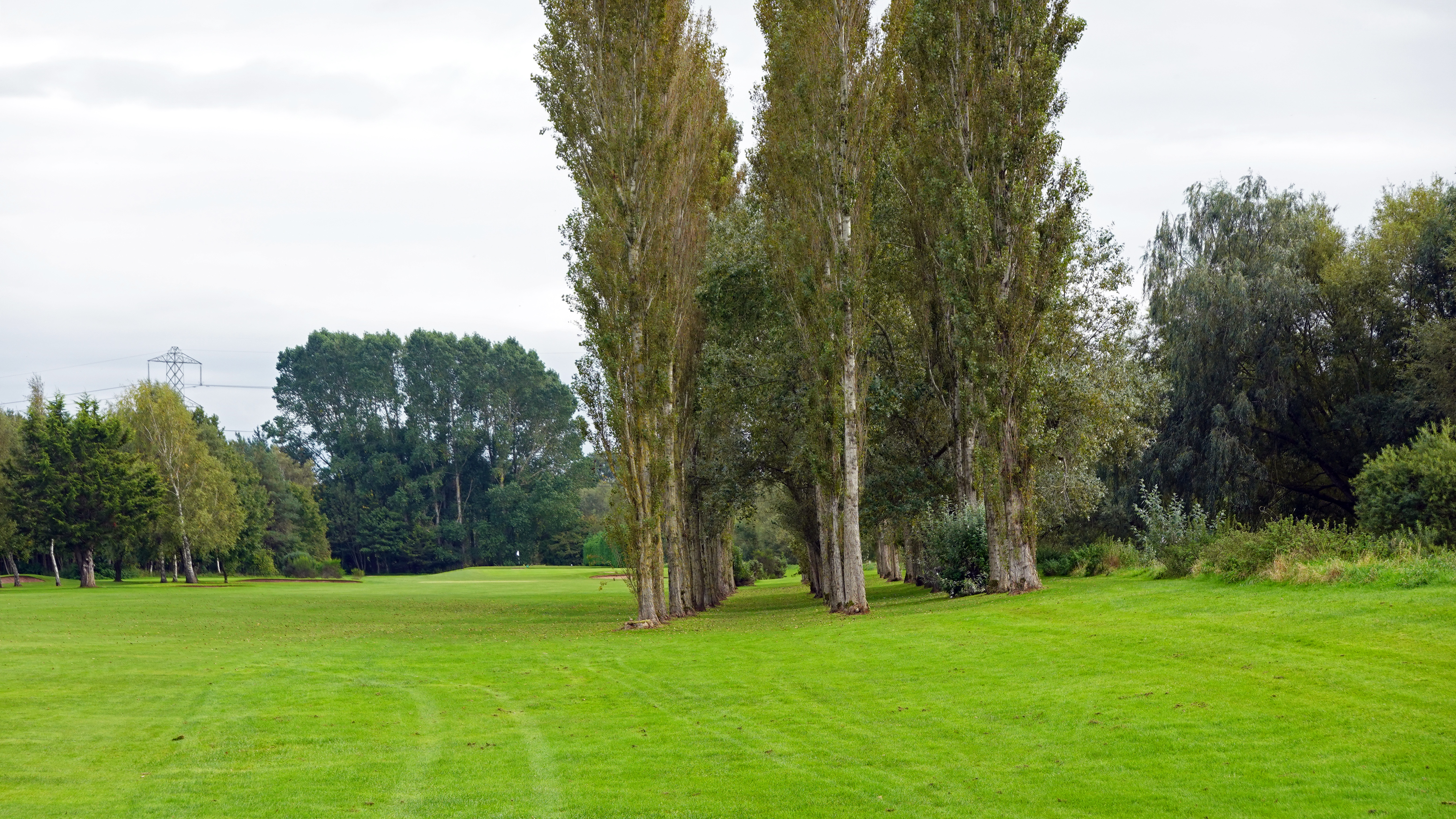 Eden - Championship 5