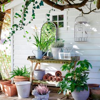 white garden shed with potting bench and mirror and planters