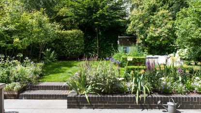 Back garden with landscaping, steps and grass lawn