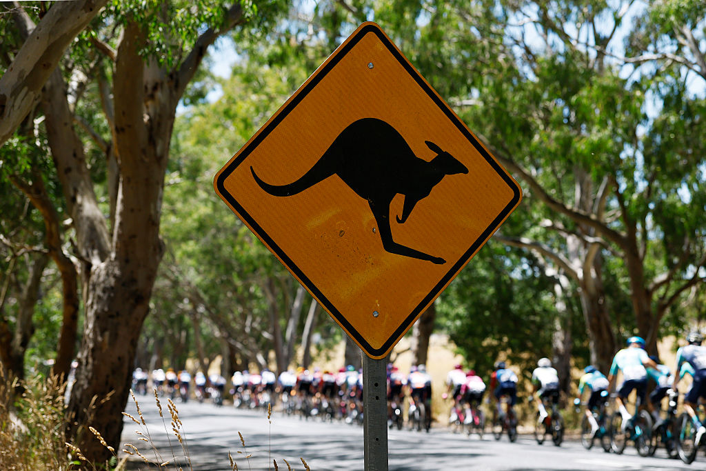 NAIRNE, AUSTRALIA - JANUARY 23: A general view of the peloton competing during the 26th Santos Tour Down Under 2026, Stage 3 a 140.8km stage from Henley Beach to Nairne / #UCIWT / on January 23, 2026 in Nairne, Australia. (Photo by Con Chronis/Getty Images)