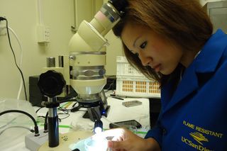 Ocean Discovery student Khanh Chi Dam during her summer internship at Scripps Institution of Oceanography.