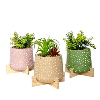 Three different coloured pots with white dots resting on wooden bases