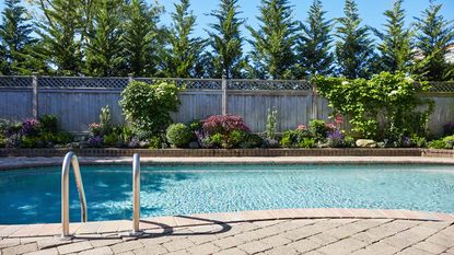 backyard pool with planting surrounding it