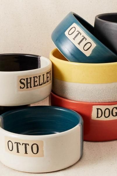 Otto Pet Dish