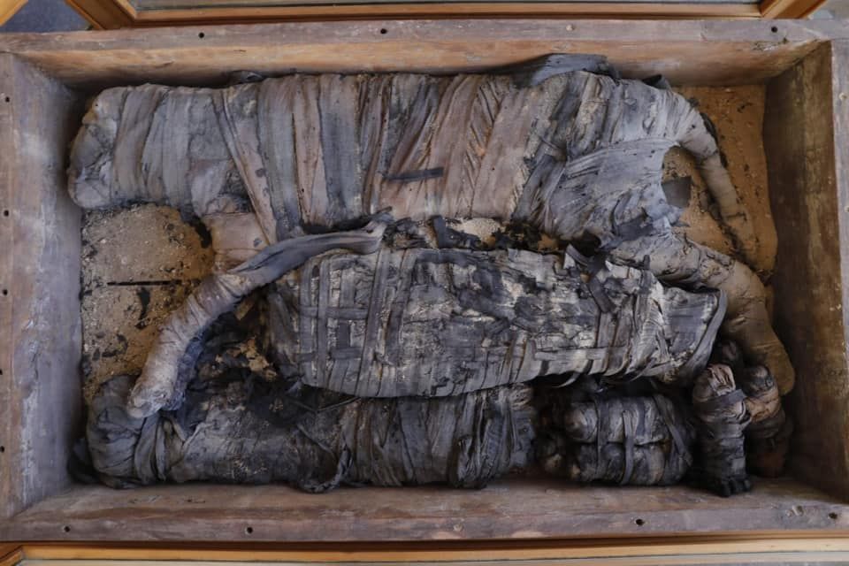 Three large cat mummies and some small mummies can be seen at the archaeological site at Saqqara. It's not clear if the lion mummies are shown in this photo.