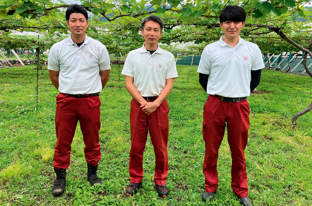 Mann's Winery winemaking team