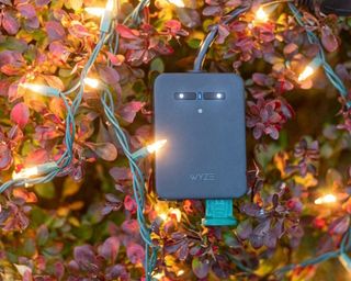 Wyze Outdoor Smart Plug connected to string lights and laying on a bed of autumnal leaves