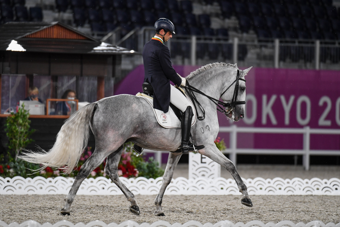 olympic dressage horse of the day: Lusitano stallion Fogoso at the Tokyo Olympics.
