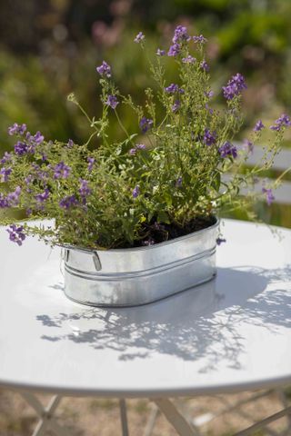 Small metal planter with handles, planted with purple flowers on a white round garden table