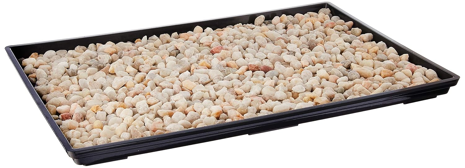 Brussel's Bonsai 13&amp;quot; Bonsai Humidity Tray With Decorative Rocks - Ideal for Bonsai Tree Growth, Reduces Root Rot