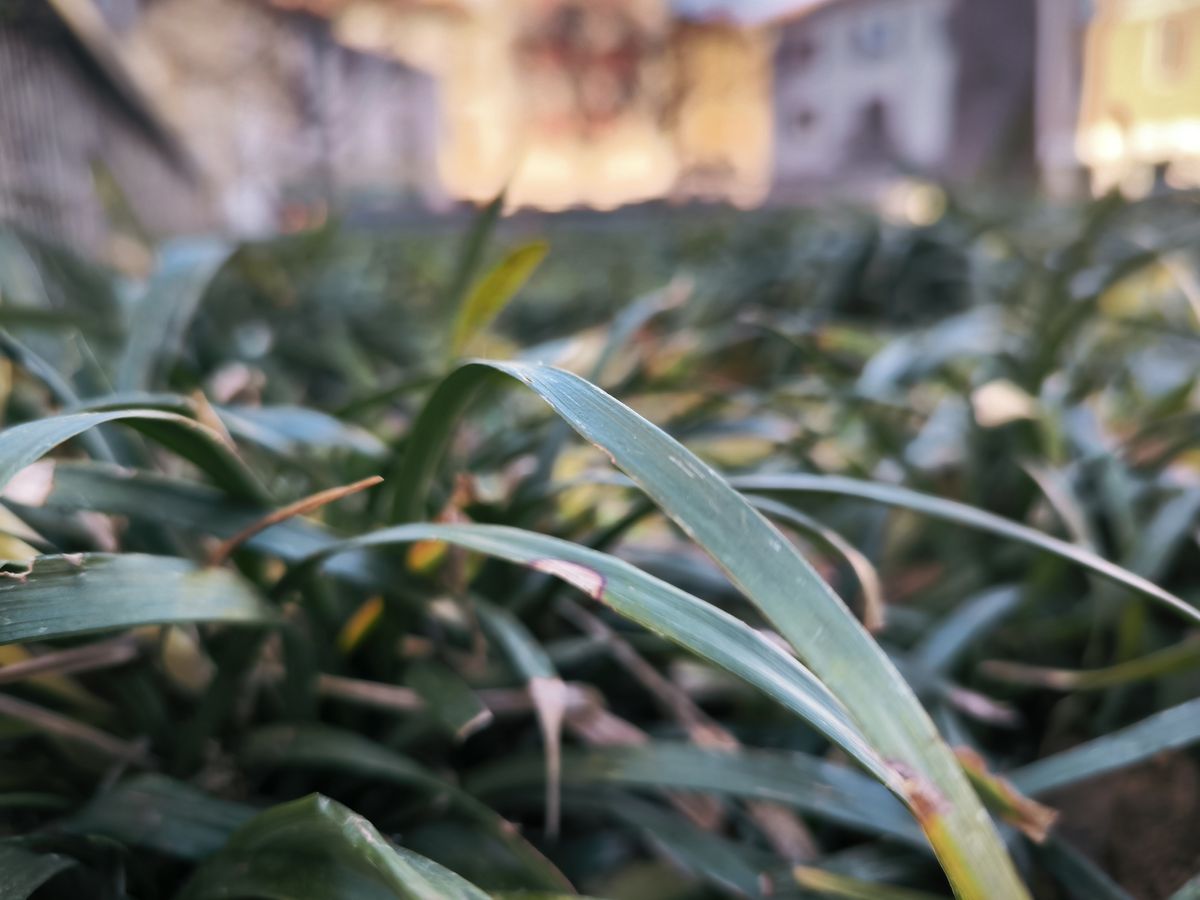 Xiaomi 13T