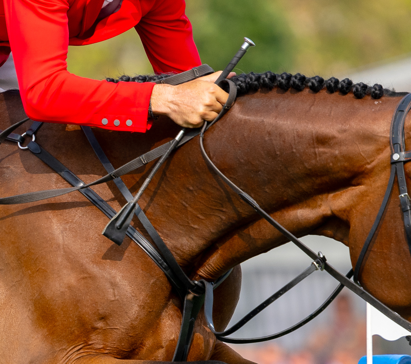 FEI-RULES-BEN-CLARK-PHOTOGRAPHY-QUAL-RIGHTS.jpg
