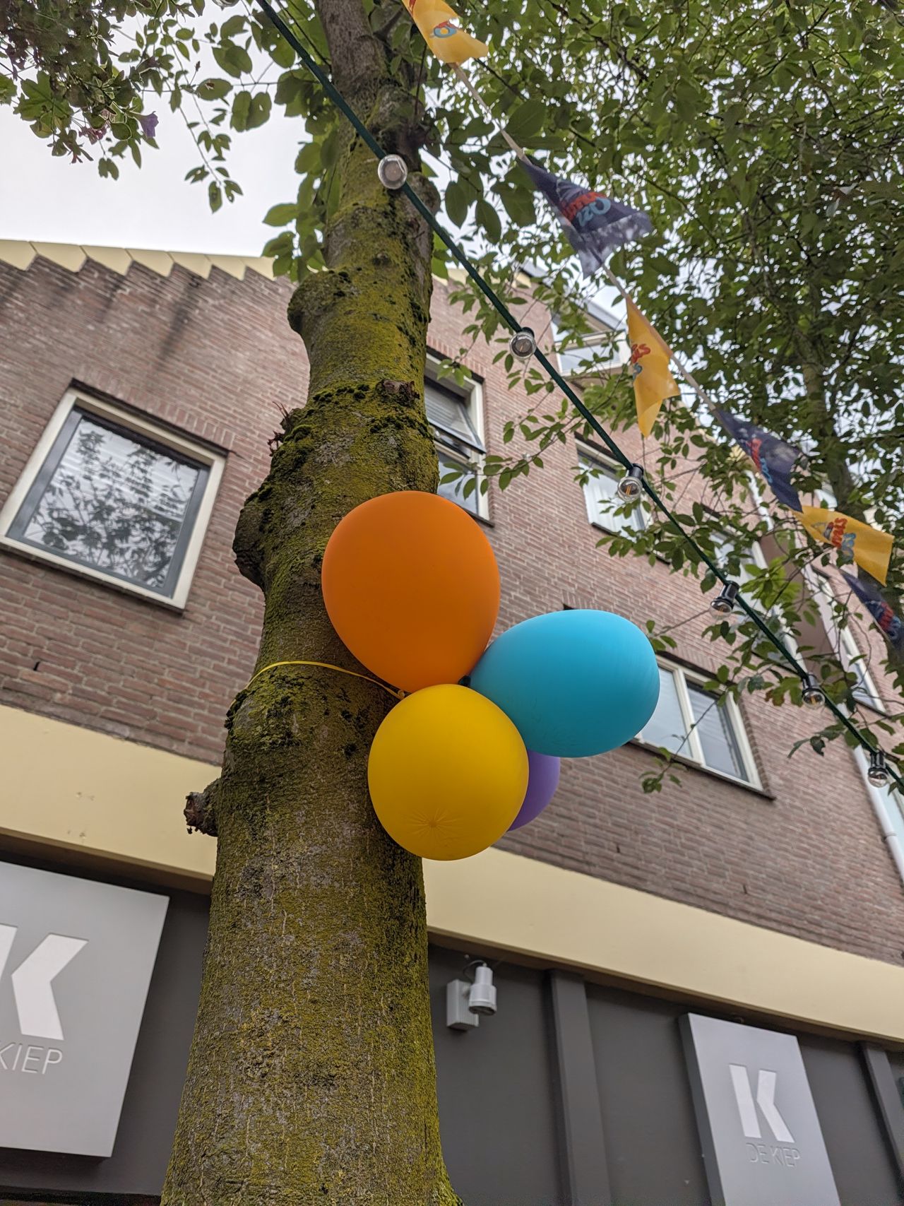 Google Pixel 11 voorbeeldfoto