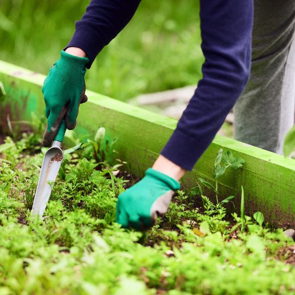 My Secrets For A Weed-Free Garden | Gardening Know How