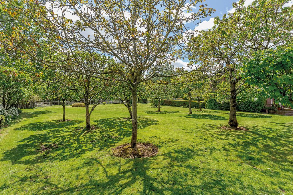 Houses for sale with orchards: Copplestone House, Tiverton, Devon