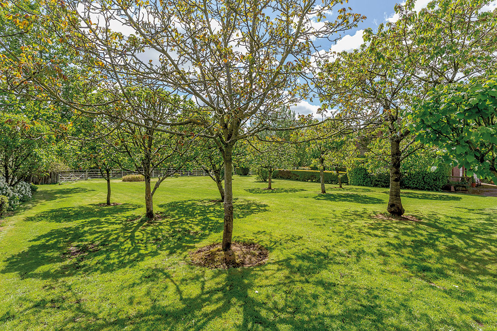 Houses for sale with orchards: Copplestone House, Tiverton, Devon