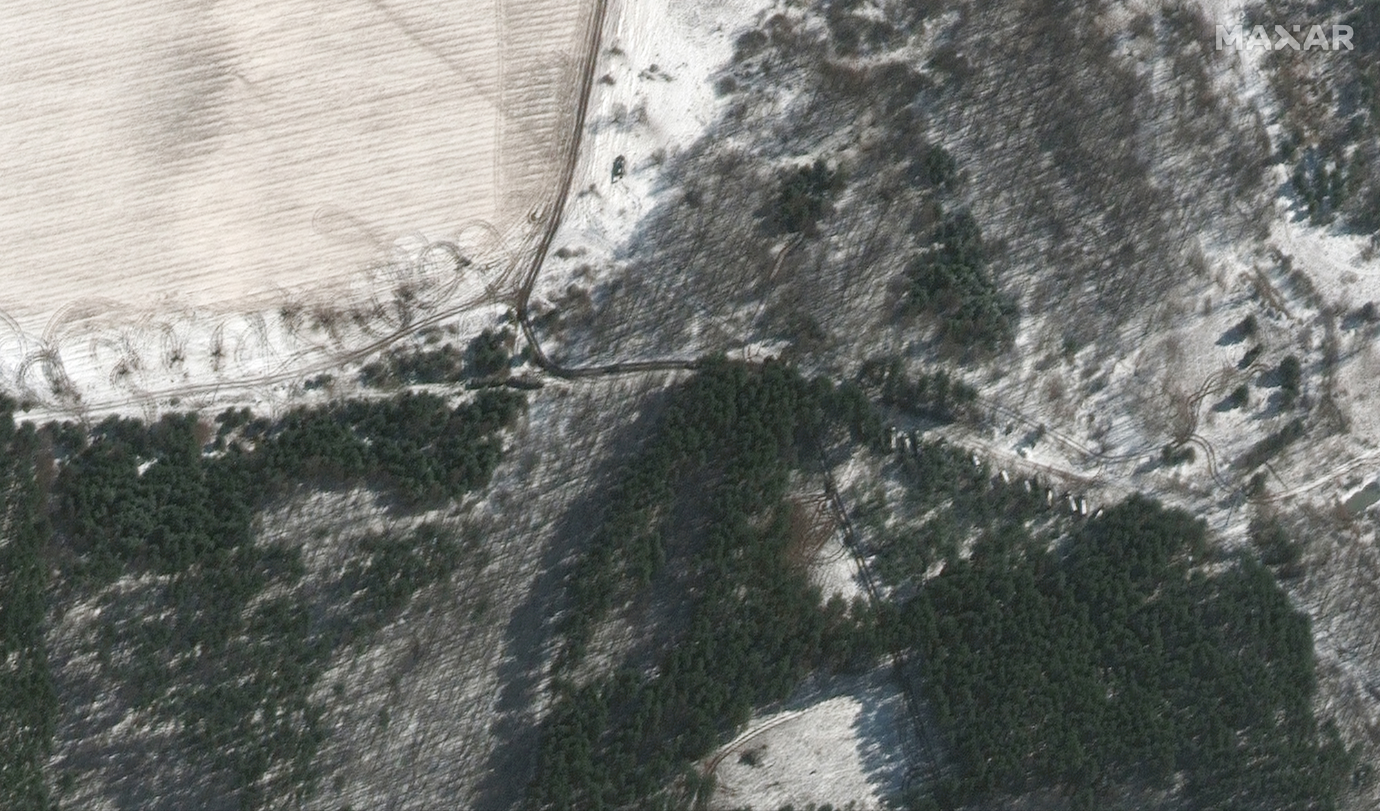 This Maxar satellite image shows equipment deployed in trees and towed artillery in firing position in Lubyanka, Ukraine on March 10, 2022.