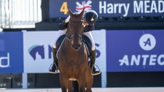 Maryland 5 Star dressage &ndash; Bubby Upton and Cola