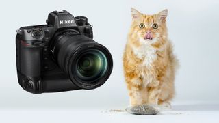 Nikon Z9 gets cat meow shutter sound effect