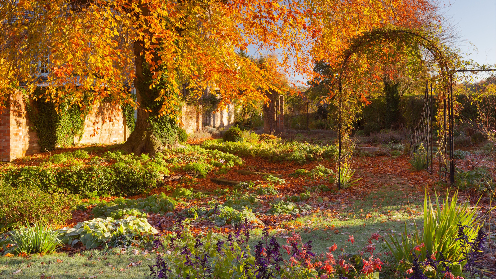 Fall garden with vibrant yellow tree and arch
