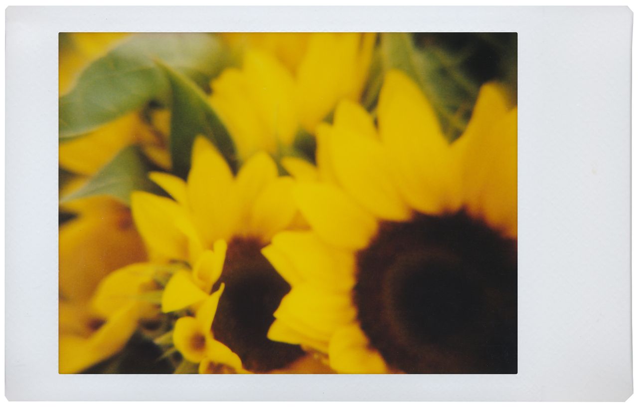 Lomography Egon Schiele Camera Collection