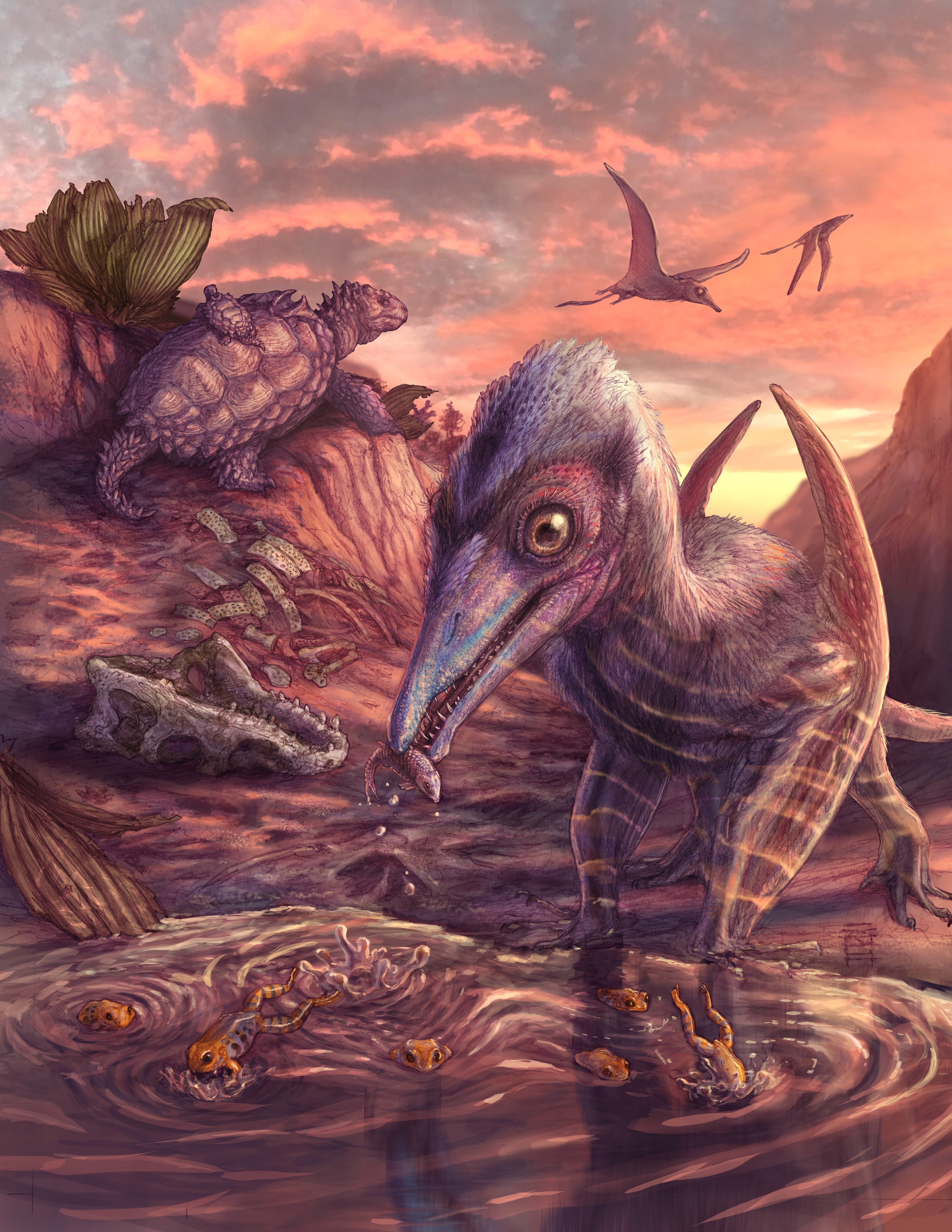 An illustration of the small pterosaur, Eotephradactylus mcintireae, feeding on fish in an ancient Late Triassic ecosystem. 