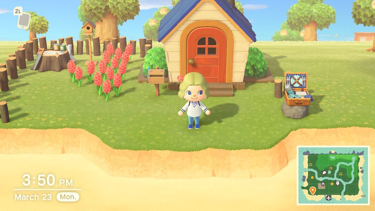 Animal Crossing New Horizons Home