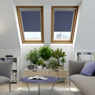 window treatments for rooflights in a loft conversion