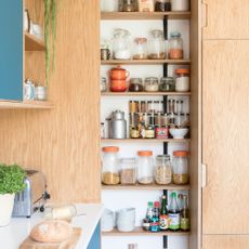 Kitchen with plywood pantry doors