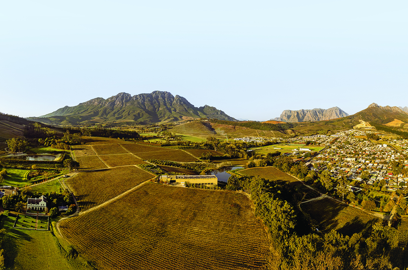 Glenelly-estate-in-Simonsberg.jpg