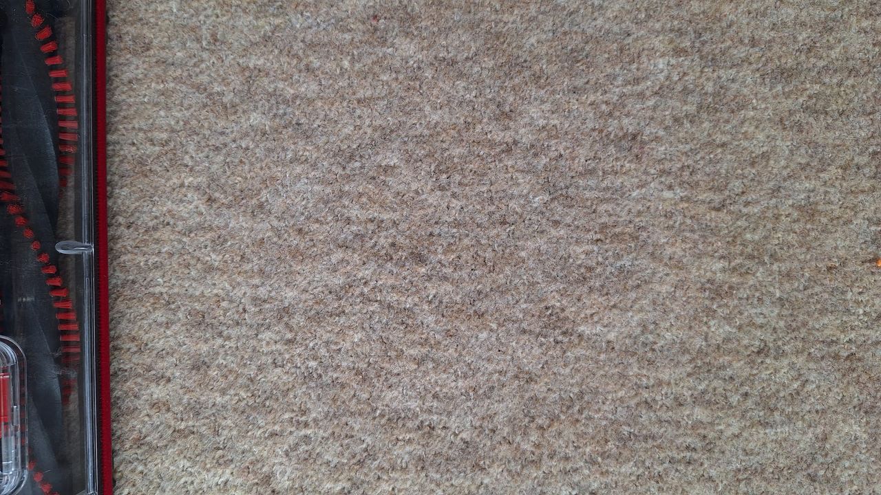 A light sprinkling of tea on the carpet after two passes with the Henry Quick Corded