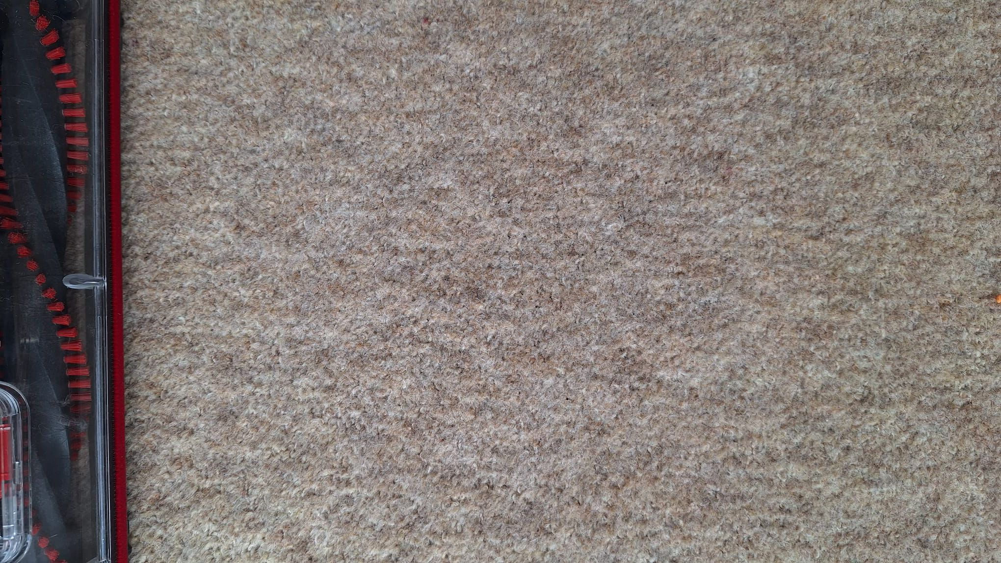 A light sprinkling of tea on the carpet after two passes with the Henry Quick Corded