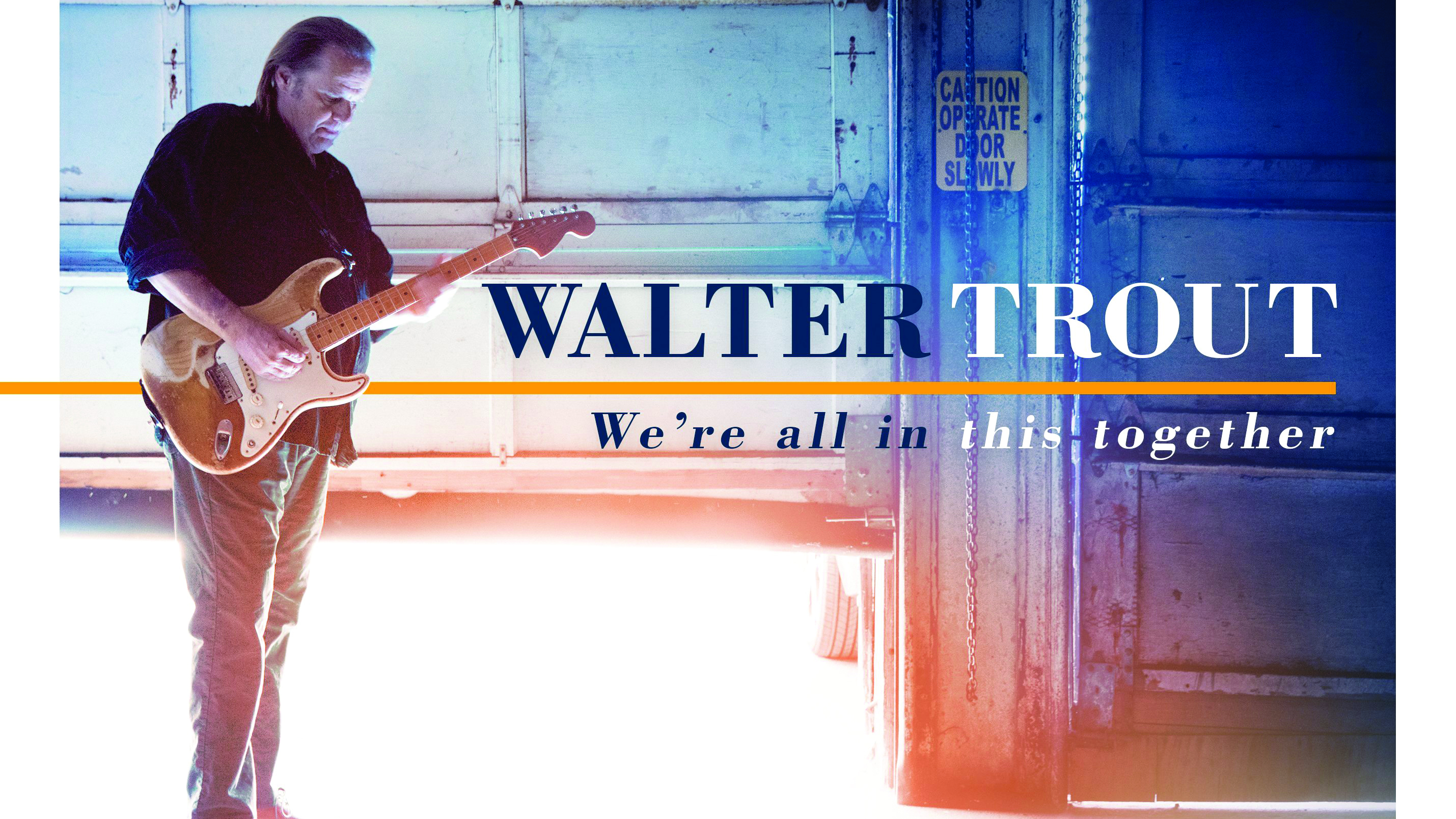 Cover art for Walter Trout - We’re All In This Together album