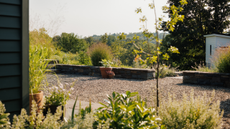 gravelled patio front yard with surrounding greenery and low hedges