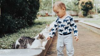 Little boy stroking cat outside