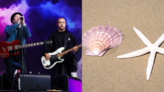Fall Out Boy and seashells