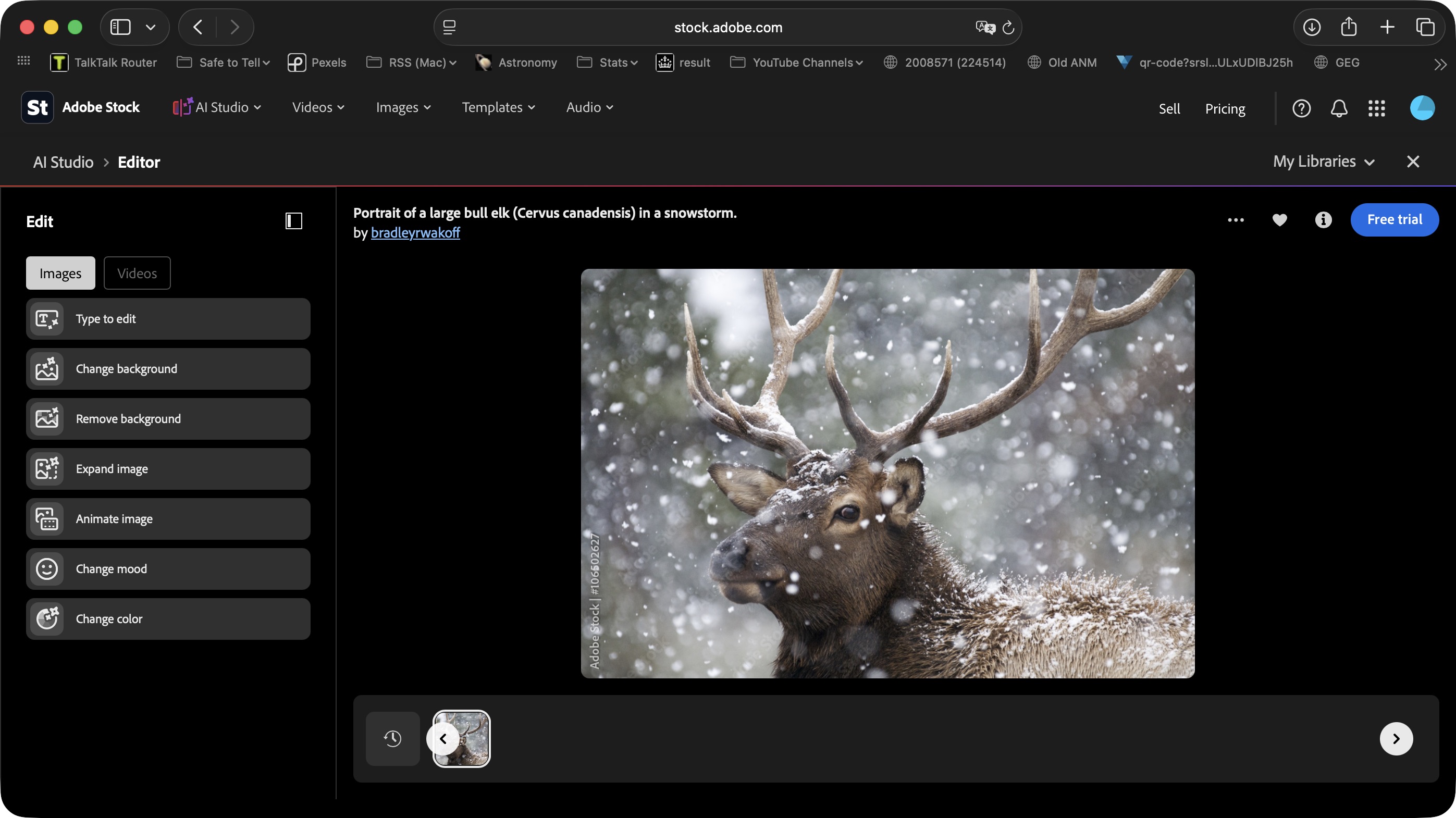 Using Adobe Stock AI Studio to test the features and tools on a Mac