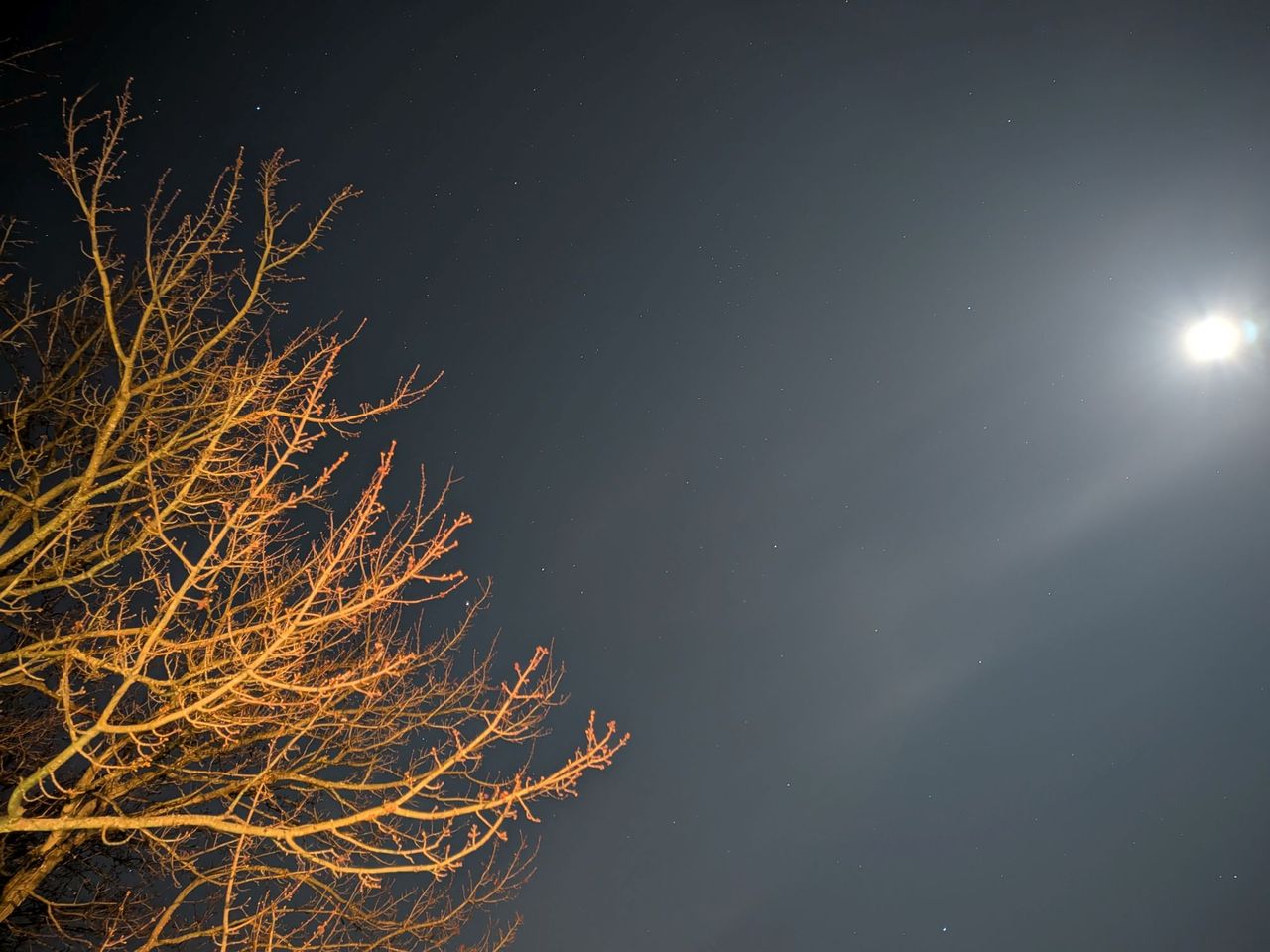 Pixel 9a astrophotography mode sample.