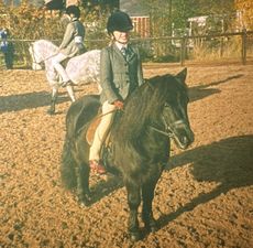 Shetland pony Hector Of Transy and his young rider Felicity Clifford stand at a show