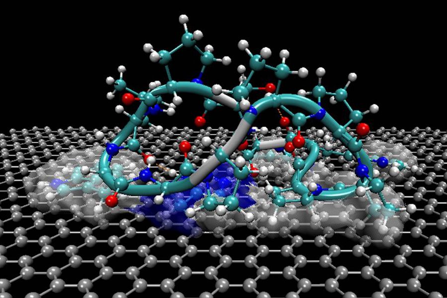 self-assembly, protein, graphite, grapheme, atomic force microscopy