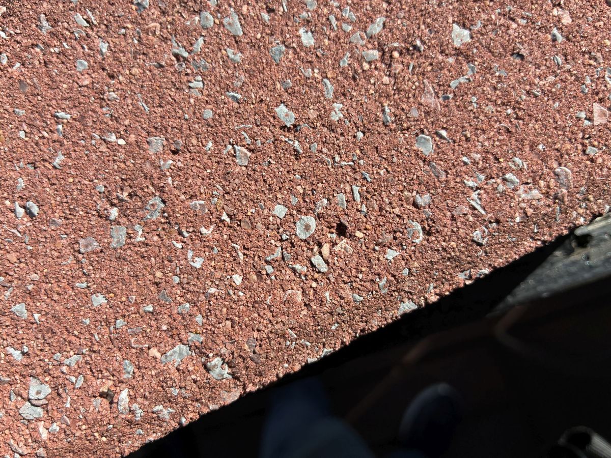 Apple iPhone 16e macro sample.
