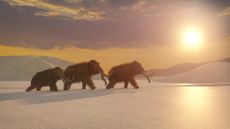 An illustration of three mammoths striding across a snow-covered landscape.