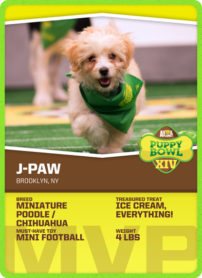 The puppy bowl.